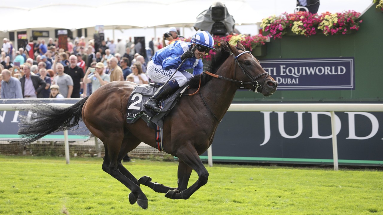 Baaeed's perfect record collapses at ASCOT as Bay Bridge ... Image 1